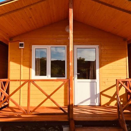 Коттеджные Домики Лдзаа Lidzava Exteriér fotografie